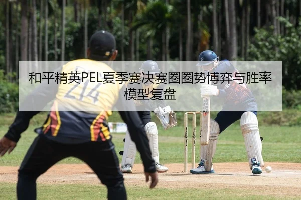 和平精英PEL夏季赛决赛圈圈势博弈与胜率模型复盘（PG）