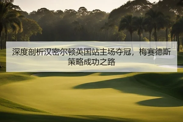 深度剖析汉密尔顿英国站主场夺冠，梅赛德斯策略成功之路